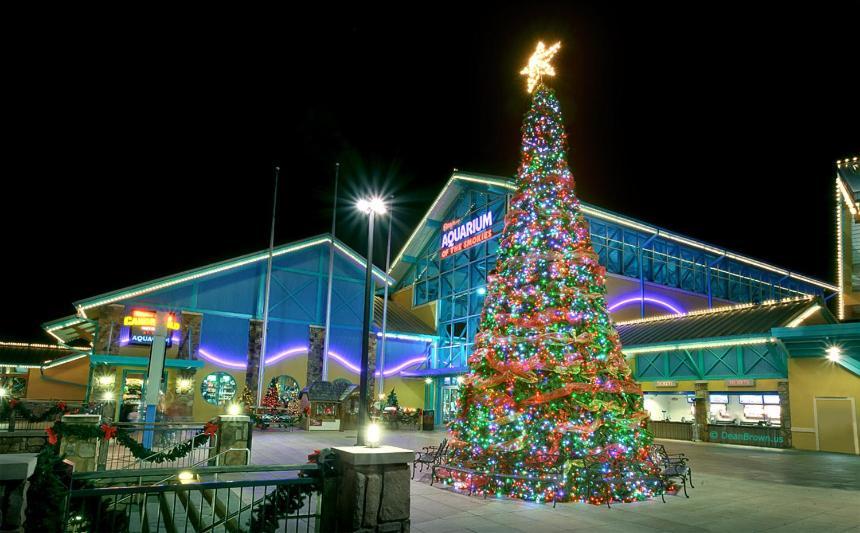 Above The Tree Tops Sevierville Exterior photo