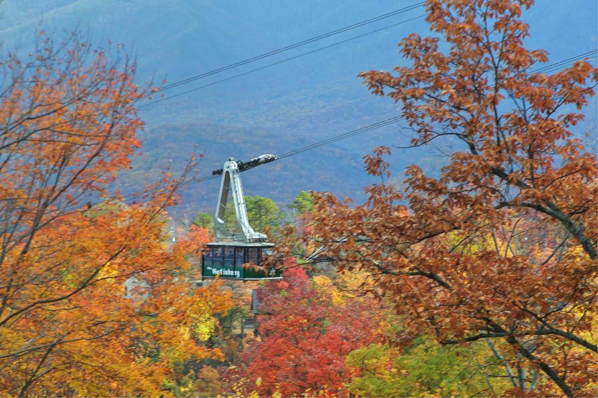 Above The Tree Tops Sevierville Exterior photo